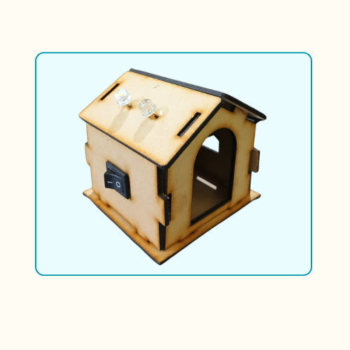 House with LED'S